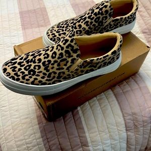 New Coconut Matisse leopard print slip on tennis shoes . Size 6